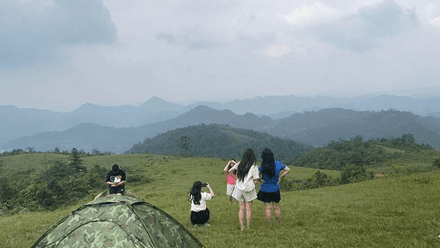 Hoạt động chỉ đạo điều hành