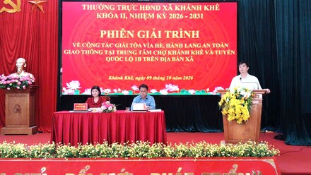 Hoạt động chỉ đạo điều hành